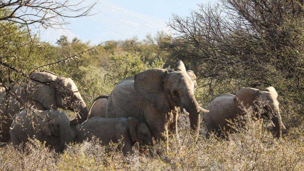 Mount Camdeboo Private Game Reserve By Newmark Graaff Reinet Ngoại thất bức ảnh